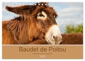 CALVENDO / Bölts | Baudet de Poitou - Seltene französische Langohren (Tischkalender 2025 DIN A5 quer), CALVENDO Monatskalender | Sonstiges | 978-3-435-39551-4 | www.sack.de