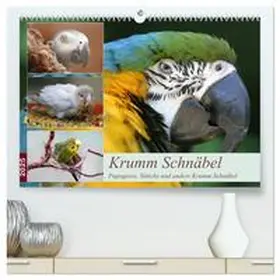 CALVENDO / Mielewczyk |  Krumm Schnäbel - Papageien, Sittiche und andere Krumm Schnäbel (hochwertiger Premium Wandkalender 2025 DIN A2 quer), Kunstdruck in Hochglanz | Sonstiges |  Sack Fachmedien
