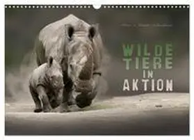 CALVENDO / Schmidbauer |  WILDE TIERE IN AKTION (Wandkalender 2025 DIN A3 quer), CALVENDO Monatskalender | Sonstiges |  Sack Fachmedien