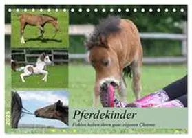 CALVENDO / Mielewczyk |  Pferdekinder - Fohlen haben ihren ganz eigenen Charme (Tischkalender 2025 DIN A5 quer), CALVENDO Monatskalender | Sonstiges |  Sack Fachmedien