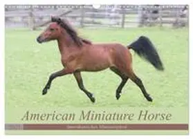CALVENDO / Mielewczyk |  American Miniature Horse (Wandkalender 2025 DIN A3 quer), CALVENDO Monatskalender | Sonstiges |  Sack Fachmedien