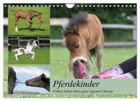 CALVENDO / Mielewczyk |  Pferdekinder - Fohlen haben ihren ganz eigenen Charme (Wandkalender 2025 DIN A4 quer), CALVENDO Monatskalender | Sonstiges |  Sack Fachmedien