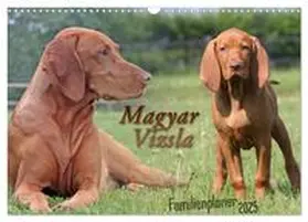 CALVENDO / Mielewczyk |  Familienplaner - Magyar Vizsla (Wandkalender 2025 DIN A3 quer), CALVENDO Monatskalender | Sonstiges |  Sack Fachmedien