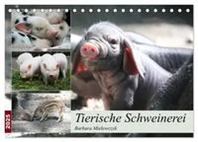 CALVENDO / Mielewczyk |  Tierische Schweinerei (Tischkalender 2025 DIN A5 quer), CALVENDO Monatskalender | Sonstiges |  Sack Fachmedien