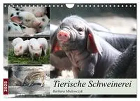 CALVENDO / Mielewczyk | Tierische Schweinerei (Wandkalender 2025 DIN A4 quer), CALVENDO Monatskalender | Sonstiges | 978-3-435-41159-7 | www.sack.de