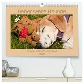 CALVENDO / Bölts |  Liebenswerte Freunde - Azawakh-Ridgeback mit Teddys (hochwertiger Premium Wandkalender 2025 DIN A2 quer), Kunstdruck in Hochglanz | Sonstiges |  Sack Fachmedien