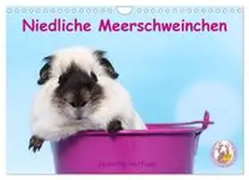 CALVENDO / Hutfluss | Niedliche Meerschweinchen (Wandkalender 2025 DIN A4 quer), CALVENDO Monatskalender | Sonstiges | 978-3-435-41392-8 | www.sack.de