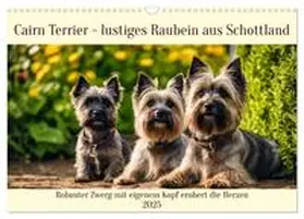 CALVENDO / Kleemann |  Cairn Terrier - lustiges Raubein aus Schottland (Wandkalender 2025 DIN A3 quer), CALVENDO Monatskalender | Sonstiges |  Sack Fachmedien
