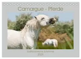 CALVENDO / Bölts |  Camargue-Pferde - Südfranzösische Schimmel (Tischkalender 2025 DIN A5 quer), CALVENDO Monatskalender | Sonstiges |  Sack Fachmedien