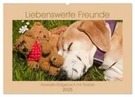 Bölts / CALVENDO |  Liebenswerte Freunde - Azawakh-Ridgeback mit Teddys (Wandkalender 2025 DIN A2 quer), CALVENDO Monatskalender | Sonstiges |  Sack Fachmedien
