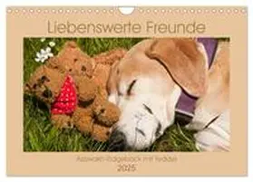 CALVENDO / Bölts |  Liebenswerte Freunde - Azawakh-Ridgeback mit Teddys (Wandkalender 2025 DIN A4 quer), CALVENDO Monatskalender | Sonstiges |  Sack Fachmedien