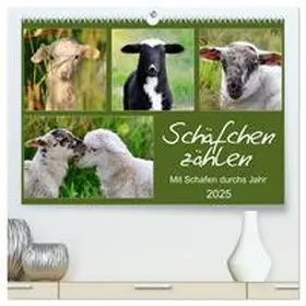 CALVENDO / Löwer |  Schäfchen zählen - Mit Schafen durchs Jahr (hochwertiger Premium Wandkalender 2025 DIN A2 quer), Kunstdruck in Hochglanz | Sonstiges |  Sack Fachmedien