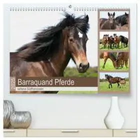 CALVENDO / Bölts |  Barraquand Pferde - seltene Südfranzosen (hochwertiger Premium Wandkalender 2025 DIN A2 quer), Kunstdruck in Hochglanz | Sonstiges |  Sack Fachmedien