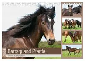 CALVENDO / Bölts |  Barraquand Pferde - seltene Südfranzosen (Wandkalender 2025 DIN A4 quer), CALVENDO Monatskalender | Sonstiges |  Sack Fachmedien