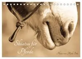 CALVENDO / Bölts |  Shiatsu für Pferde - Photos von Meike Bölts (Tischkalender 2025 DIN A5 quer), CALVENDO Monatskalender | Sonstiges |  Sack Fachmedien