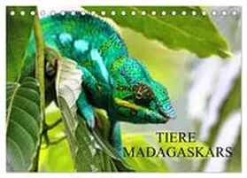 CALVENDO / Baur |  Tiere Madagaskars (Tischkalender 2025 DIN A5 quer), CALVENDO Monatskalender | Sonstiges |  Sack Fachmedien