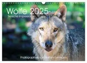 CALVENDO / Lehmann |  Wölfe 2025. Tierische Impressionen (Wandkalender 2025 DIN A3 quer), CALVENDO Monatskalender | Sonstiges |  Sack Fachmedien