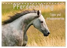 CALVENDO / Bölts |  Pferdehaltung Tipps und Wissenswertes (Tischkalender 2025 DIN A5 quer), CALVENDO Monatskalender | Sonstiges |  Sack Fachmedien
