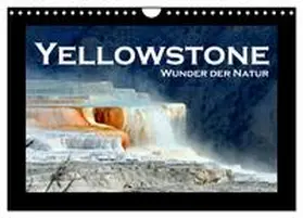 CALVENDO / STYPPA |  Yellowstone - Wunder der Natur (Wandkalender 2025 DIN A4 quer), CALVENDO Monatskalender | Sonstiges |  Sack Fachmedien