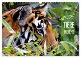 CALVENDO / Bergermann |  Wilde Tiere Indiens (Wandkalender 2025 DIN A3 quer), CALVENDO Monatskalender | Sonstiges |  Sack Fachmedien