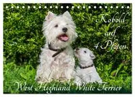 CALVENDO / Starick |  Kobold auf 4 Pfoten - West Highland White Terrier (Tischkalender 2025 DIN A5 quer), CALVENDO Monatskalender | Sonstiges |  Sack Fachmedien
