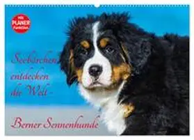 CALVENDO / Starick |  Seebärchen entdecken die Welt - Berner Sennenhunde (Wandkalender 2025 DIN A2 quer), CALVENDO Monatskalender | Sonstiges |  Sack Fachmedien