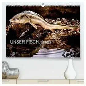 CALVENDO / morgenstern | UNSER FISCH. SÜßWASSER. (hochwertiger Premium Wandkalender 2025 DIN A2 quer), Kunstdruck in Hochglanz | Sonstiges | 978-3-435-48707-3 | www.sack.de