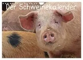 CALVENDO / Schmutzler-Schaub |  Der Schweinekalender (Wandkalender 2025 DIN A4 quer), CALVENDO Monatskalender | Sonstiges |  Sack Fachmedien