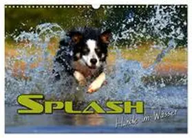 CALVENDO / Bleicher | SPLASH - Hunde im Wasser (Wandkalender 2025 DIN A3 quer), CALVENDO Monatskalender | Sonstiges | 978-3-435-49971-7 | www.sack.de