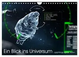 CALVENDO / Winkler - cglightNing |  Ein Blick ins Universum - cglightNings digitale Welten (Wandkalender 2025 DIN A4 quer), CALVENDO Monatskalender | Sonstiges |  Sack Fachmedien
