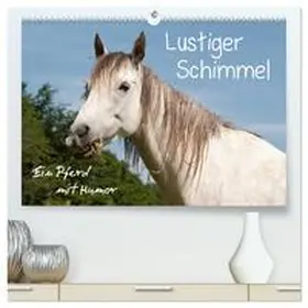 CALVENDO / Bölts |  Lustiger Schimmel - ein Pferd mit Humor (hochwertiger Premium Wandkalender 2025 DIN A2 quer), Kunstdruck in Hochglanz | Sonstiges |  Sack Fachmedien