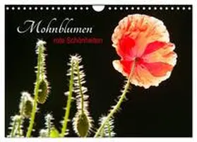 CALVENDO / Bölts |  Mohnblumen - rote Schönheiten (Wandkalender 2025 DIN A4 quer), CALVENDO Monatskalender | Sonstiges |  Sack Fachmedien