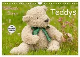 CALVENDO / Bölts | Geliebte Bären - Teddys (Wandkalender 2025 DIN A4 quer), CALVENDO Monatskalender | Sonstiges | 978-3-435-50823-5 | www.sack.de