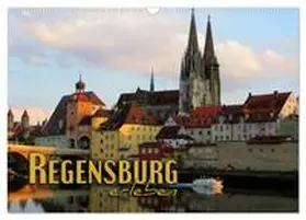 CALVENDO / Bleicher |  Regensburg erleben (Wandkalender 2025 DIN A3 quer), CALVENDO Monatskalender | Sonstiges |  Sack Fachmedien