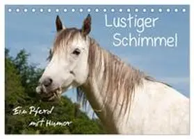 CALVENDO / Bölts | Lustiger Schimmel - ein Pferd mit Humor (Tischkalender 2025 DIN A5 quer), CALVENDO Monatskalender | Sonstiges | 978-3-435-51547-9 | www.sack.de