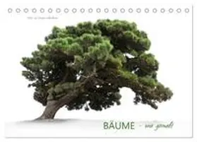 CALVENDO / Schmidbauer |  BÄUME - wie gemalt (Tischkalender 2025 DIN A5 quer), CALVENDO Monatskalender | Sonstiges |  Sack Fachmedien