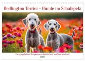 CALVENDO / Kleemann |  Bedlington Terrier - Hunde im Schafspelz (Wandkalender 2025 DIN A3 quer), CALVENDO Monatskalender | Sonstiges |  Sack Fachmedien