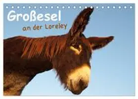 CALVENDO / Bölts |  Großesel an der Loreley (Tischkalender 2025 DIN A5 quer), CALVENDO Monatskalender | Sonstiges |  Sack Fachmedien
