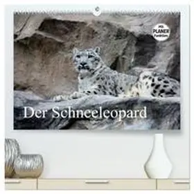 CALVENDO / Klatt | Der Schneeleopard (hochwertiger Premium Wandkalender 2025 DIN A2 quer), Kunstdruck in Hochglanz | Sonstiges | 978-3-435-53047-2 | www.sack.de