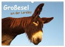 CALVENDO / Bölts |  Großesel an der Loreley (Wandkalender 2025 DIN A3 quer), CALVENDO Monatskalender | Sonstiges |  Sack Fachmedien