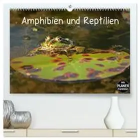 CALVENDO / Schmutzler-Schaub |  Amphibien und Reptilien (hochwertiger Premium Wandkalender 2025 DIN A2 quer), Kunstdruck in Hochglanz | Sonstiges |  Sack Fachmedien