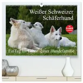 CALVENDO / Starick |  Weißer Schweizer Schäferhund - Ein Tag im Leben einer Hundefamilie (hochwertiger Premium Wandkalender 2025 DIN A2 quer), Kunstdruck in Hochglanz | Sonstiges |  Sack Fachmedien