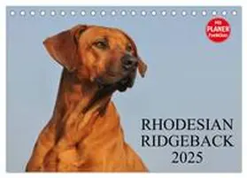 CALVENDO / Starick |  Rhodesian Ridgeback 2025 (Tischkalender 2025 DIN A5 quer), CALVENDO Monatskalender | Sonstiges |  Sack Fachmedien