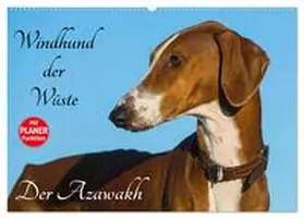 CALVENDO / Starick |  Windhund der Wüste - Der Azawakh (Wandkalender 2025 DIN A2 quer), CALVENDO Monatskalender | Sonstiges |  Sack Fachmedien