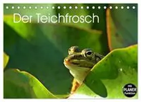 CALVENDO / Schmutzler-Schaub |  Der Teichfrosch (Tischkalender 2025 DIN A5 quer), CALVENDO Monatskalender | Sonstiges |  Sack Fachmedien
