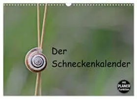 CALVENDO / Schmutzler-Schaub |  Der Schneckenkalender (Wandkalender 2025 DIN A3 quer), CALVENDO Monatskalender | Sonstiges |  Sack Fachmedien