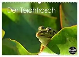 CALVENDO / Schmutzler-Schaub |  Der Teichfrosch (Wandkalender 2025 DIN A3 quer), CALVENDO Monatskalender | Sonstiges |  Sack Fachmedien