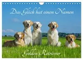 CALVENDO / Starick |  Das Glück hat einen Namen - Golden Retriever (Wandkalender 2025 DIN A4 quer), CALVENDO Monatskalender | Sonstiges |  Sack Fachmedien