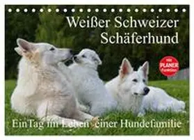 CALVENDO / Starick |  Weißer Schweizer Schäferhund - Ein Tag im Leben einer Hundefamilie (Tischkalender 2025 DIN A5 quer), CALVENDO Monatskalender | Sonstiges |  Sack Fachmedien