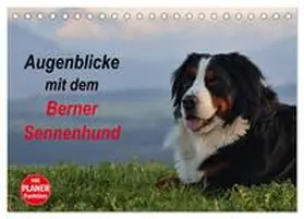 CALVENDO / Hunscheidt |  Augenblicke mit dem Berner Sennenhund (Tischkalender 2025 DIN A5 quer), CALVENDO Monatskalender | Sonstiges |  Sack Fachmedien
